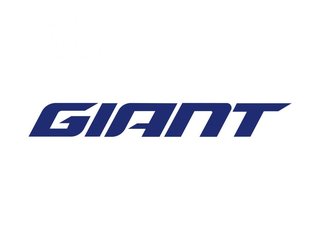 Giant bikes