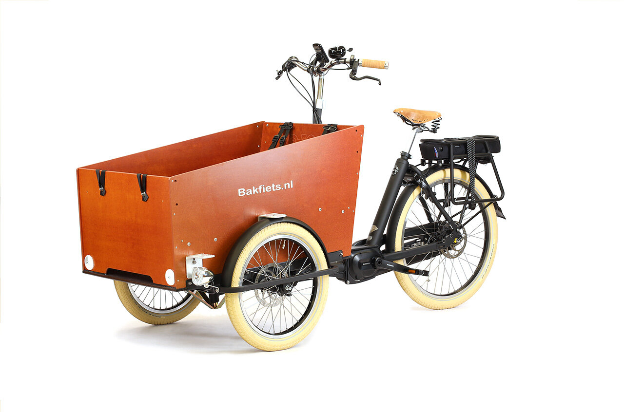 cargo trike cruiser